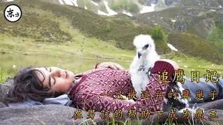 一只雏鹰遇到人类男孩，就此开始了一场跨越种族的友谊