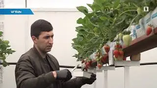 Արցախում պետությունն աջակցում է ջերմոցային տնտեսություն հիմնողներին