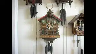 Oompah Band musical Kuner cuckoo clock