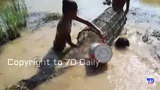 amazing catch crabs how to catch crabs using the net in Cambodia