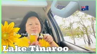 Enjoy eating at Lake Tinaroo/nature sounds vlog//Cheche La&ntilde;ojan 
