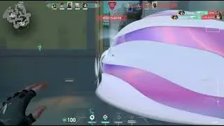 Reaver Vandal ASMR