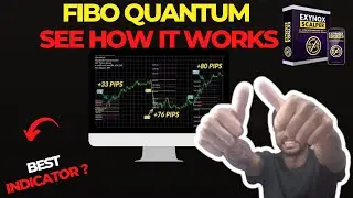 Fibo Quantum - Fibo Quantum Reviews - Fibo Quantum Indicator - How to Win With Fibo Quantum