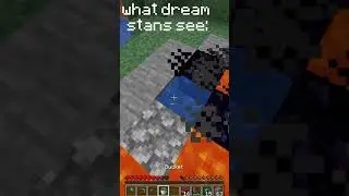 what Dream stans see when Dream plays Minecraft...