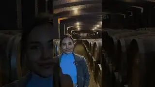 Это одна из самых традиционных и отмеченных наградами виноделен в Чили 🍇✨
