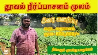 @தூவல் தொழில் நுட்பம் மூலம் கீரை வளர்ப்பு🍃//Best Idea for Sprinkler system
