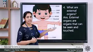 Grade 2 Social Science Chapter 2 Class 2 My Body Exercise