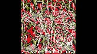 Hate Head - Blood Seed