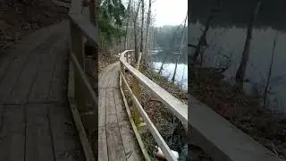 #sundaywalk