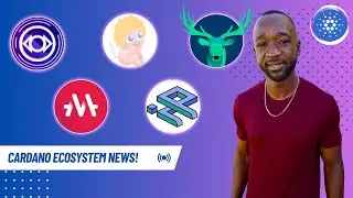 Cardano NEWS - CNFT Bear Market?! Wrapped BTC Demo, On-Chain Staking & Wallet Upgrades!