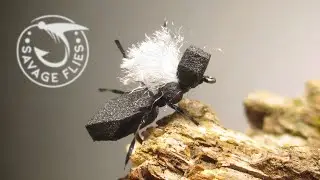 Who doesn’t love easy ant patterns?