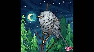 Coloring a Starry night | Learn to color | Color by numbers - Happy color