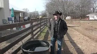 My Horses are Cold!