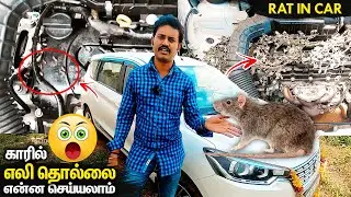 🐁Mouse In Car What To Do, Rat In Car Engine Bonnet Problem How To Get Rid Of | Mano's Try Tamil Vlog