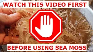 Sea Moss: Benefits and Side Effects You Need to Know!