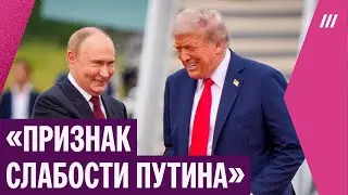 Путин готов не бить по Украине из-за просьбы Трампа. Что ожидать от энергетического перемирия