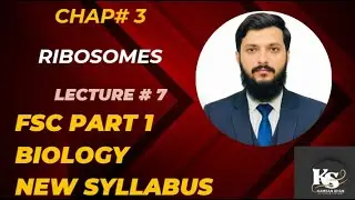 3.7 Ribosomes #fscpart1 Biology 11 new syllabus #fscpart1 #biology11 #biology #chapter3