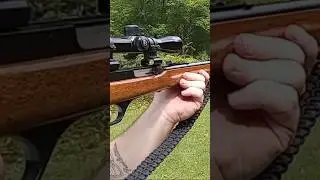 Marlin Model 60 Range Runner! #точный #дальнобойщик