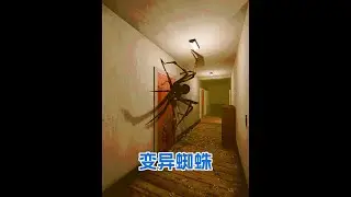 恐怖游戲潛伏，飼養蜘蛛變異逃離，最后盯上主人，蜘蛛恐懼者慎入 #恐怖游戲 #steam游戲 #游戲解說