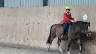 Caroline Hawley on Jack International Online TREC &lsquo;Open&rsquo; Test December 2019