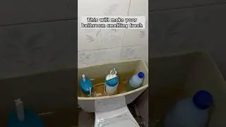 This will keep your bathroom smelling fresh #foryou  #tipsandtricks #experiment #cleaninghacks #fyp