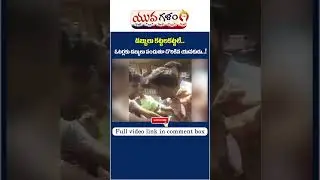 Caught Red Handed Distributing Money in MLC Elections | #apmlcelections #ytshorts #yuvagalam