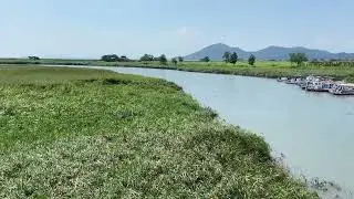 Suncheon - RRR - Reed, rice, and river #suncheon #reed #rice #river #mountains #southkorea
