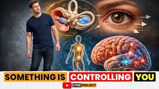 How Your Body Balances Itself Without You Thinking About It