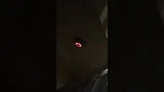 2 Nest Protects going off in synch
