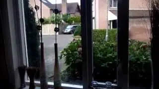 A Typical Dutch House