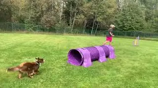 Turn & Burn - Pawsitive Connection