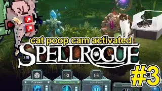 Will I actually win? Will a cat go potty?! | Spellrogue