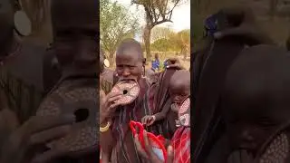 Mursi tribe Omo Valley Ethiopia #shorts #ethiopia #omovalley #omoadvisor #africa #travel