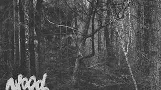 wood - cyclic recurrents (2014)
