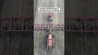 FP Genetics Hybrid Fall Rye Reel