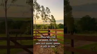 Aproveite a vida🌿 #ro&ccedil;a #paisagemnatural #sitio #vidasimples #campo #modadeviola #natureza #offgrid