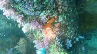 Koh Lipe Diving