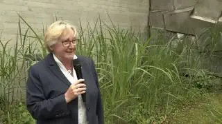 MediTV #16 &ndash; Hochschulpolitik aus erster Hand & Wissenschaftliches Arbeiten (10.06.2020)