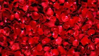 Thomas Newman - Arose (15minutes version)