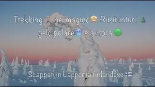 Trekking 🚶‍♂️ nel magico 🤩 Riisitunturi🌲 gelo polare 🥶 e aurora boreale 🟢