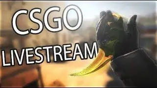 [🔴LIVE] ThiagoVKS  CSGO bunny hop TENTANDO ZERA UM MAPA DO CAPETA!