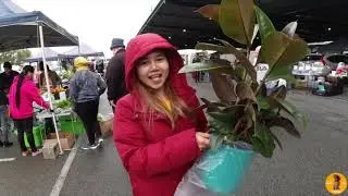 Perth Sunday Market อาหารไทย เจอพี่ๆคนไทยขายของไทย😀#perth #australia