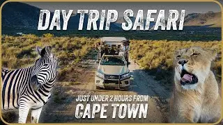Your Big 5 Safaris Near Cape Town | Aquila Private Game Reserve & Spa
