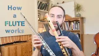 How Flutes Work (BASICS explained)