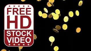 Free Stock Videos - shiny gold coins falling on black background 3D animation closeup