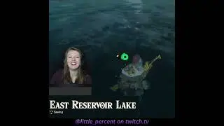 Jump at Your Own Risk! - The Legend of Zelda: Breath of the Wild
