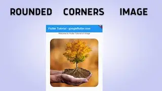 How to Rounded Corners Image in Flutter