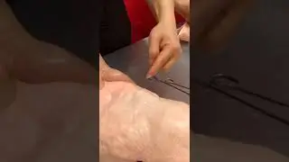 ASMR Street Food-Guangdong roast suckling pig training#short#shorts