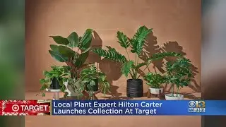 Baltimore Plant Expert Hilton Carter Launches Collection At Target