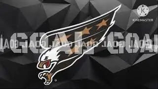 Washington Capitals Reverse Retro Goal Horn